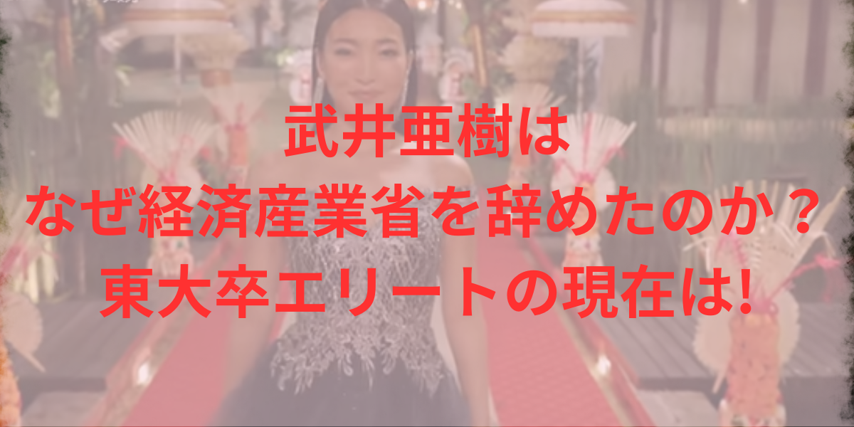 武井亜樹はなぜ経済産業省を辞めたのか