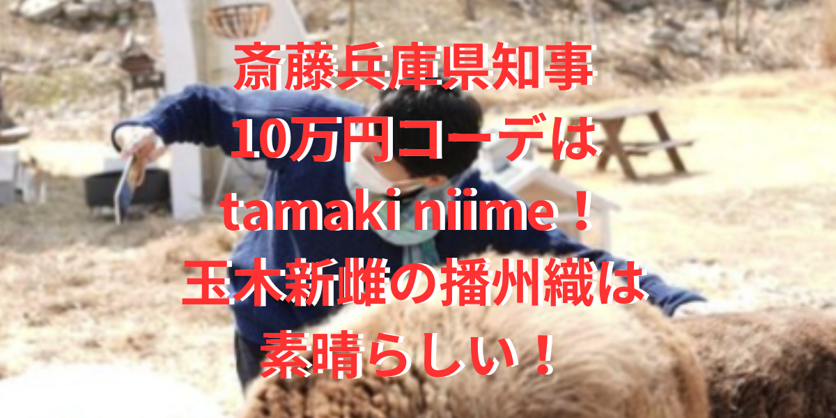 斎藤兵庫県知事10万円コーデはtamaki niime