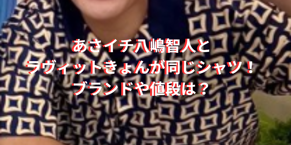 あさイチ八嶋智人とラヴィットきょんが同じシャツ！ブランドや値段は？