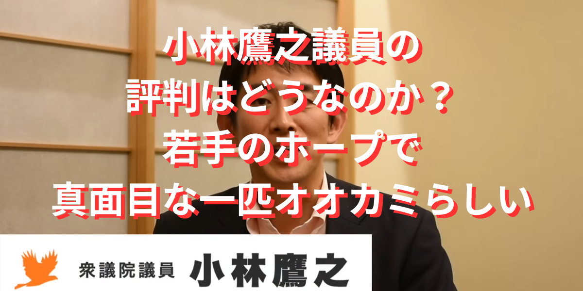 小林鷹之議員の評判はどうなのか？若手のホープで真面目な一匹オオカミ?