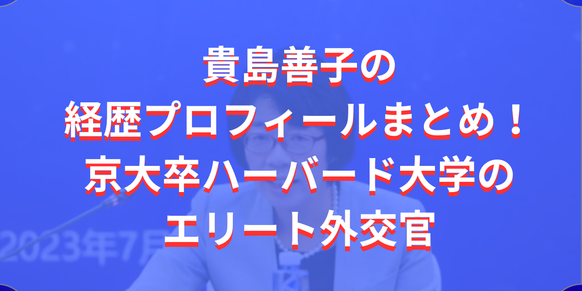 貴島善子の経歴プロフィールまとめ！京大卒ハーバード大学のエリート外交官